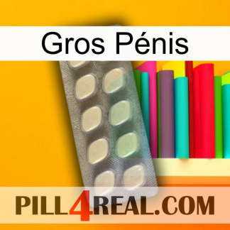 Gros Pénis 08
